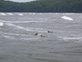 Binz Surf Foto 1